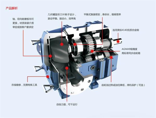凸輪轉(zhuǎn)子泵特點(diǎn)