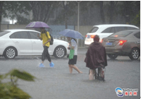 暴雨來(lái)襲 親們~請(qǐng)注意交通安全，別急！